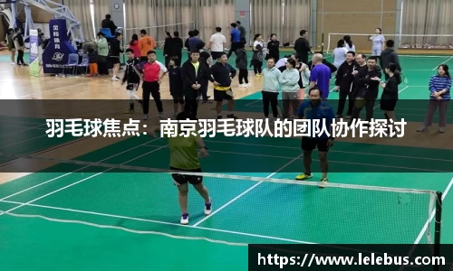 羽毛球焦点：南京羽毛球队的团队协作探讨