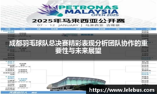 成都羽毛球队总决赛精彩表现分析团队协作的重要性与未来展望