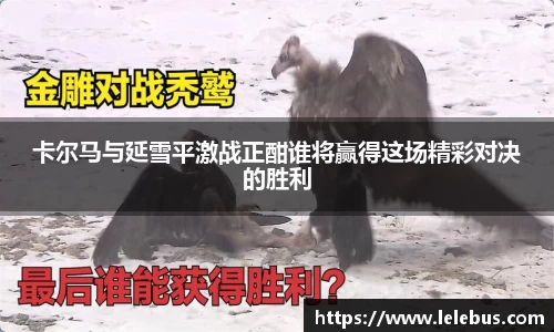 卡尔马与延雪平激战正酣谁将赢得这场精彩对决的胜利