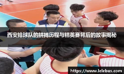 西安排球队的拼搏历程与精英赛背后的故事揭秘